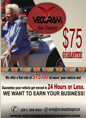 Flyer Design by Stephanie Art design for VECCRAM | Design #9538345