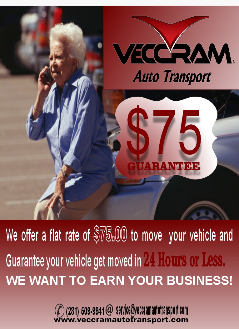 Design de Flyer par Stephanie Art design pour VECCRAM | Design #9538347