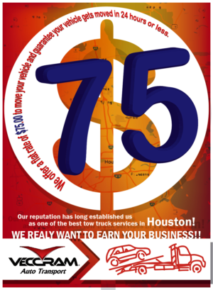 Flyer Design by Layes for VECCRAM | Design #9514155