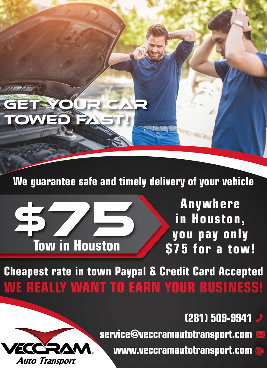 Flyer Design by Alvin24 for VECCRAM | Design #9544579