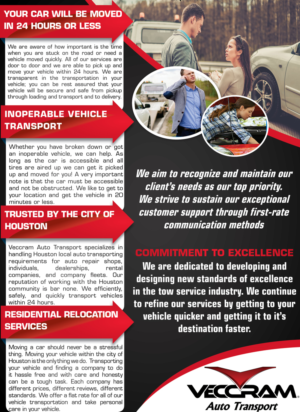 Flyer Design by Alvin24 for VECCRAM | Design #9544580