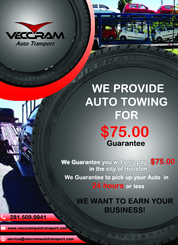 Flyer Design by demehwish for VECCRAM | Design #9477061