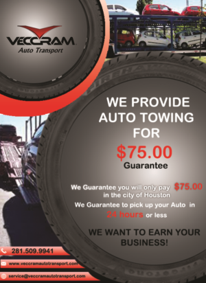 Flyer Design by demehwish for VECCRAM | Design #9477061