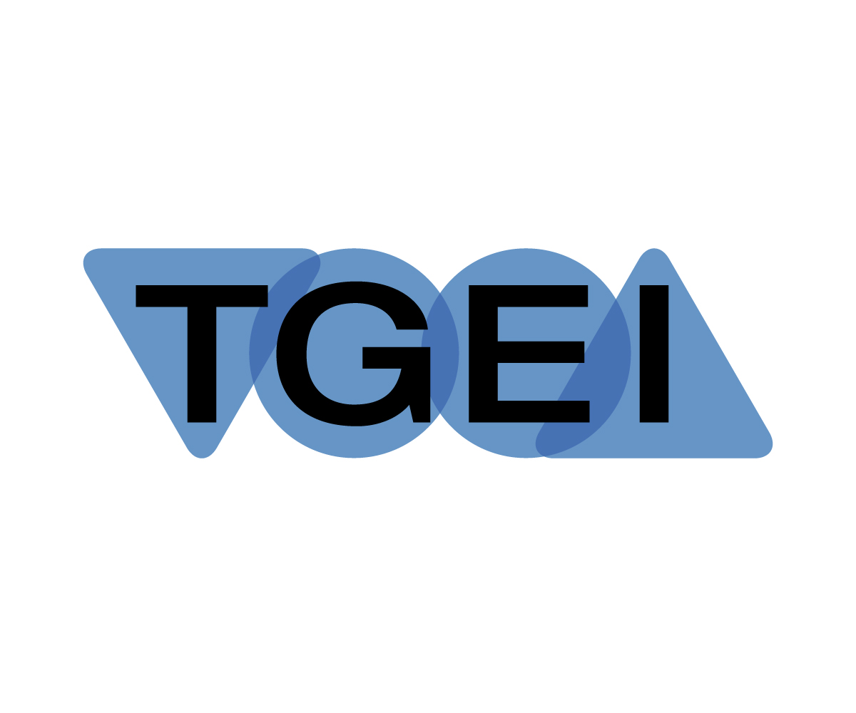 Logo Design by GraphGraph for Tomerrogroup | Design #9629634