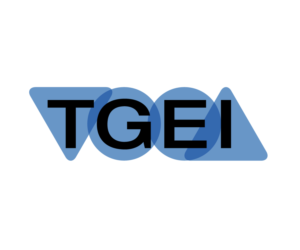 Logo-Design von GraphGraph für Tomerrogroup | Design #9629711