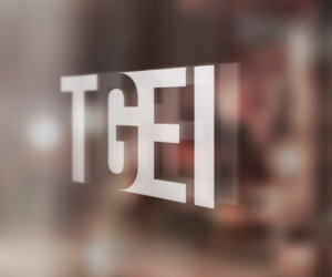Logo Design by Solo Brand for Tomerrogroup | Design: #9631300