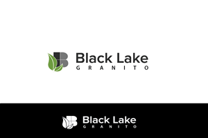 Logo Design by Oranzedzine