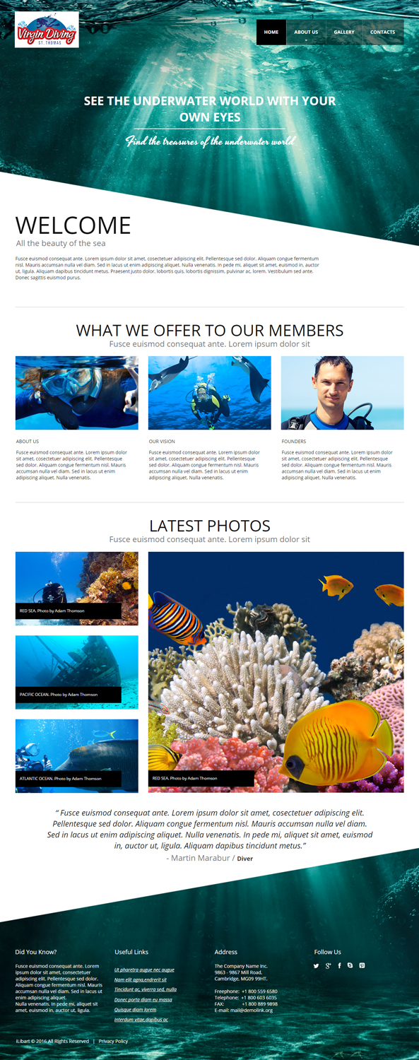 Web Design by iLibart for this project | Design #9477187