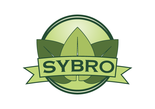 Logo Design by CaptainZZ for this project | Design #2073494