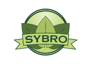 Logo Design by CaptainZZ for this project | Design #2073494