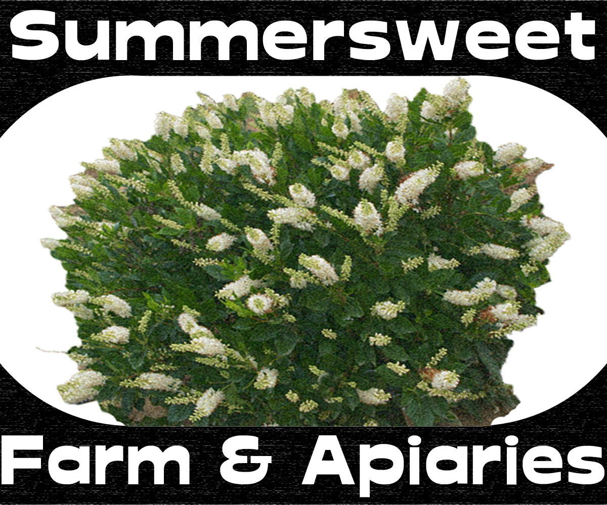 Design de Logo par HaMa Design pour Summersweet Farm & Apiaries | Design #2126155