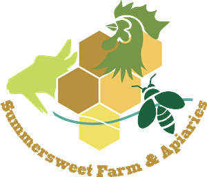Logo Design by shahriar