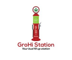 Logo-Design von alvflamehaze für dieses Projekt | Design: #9473931