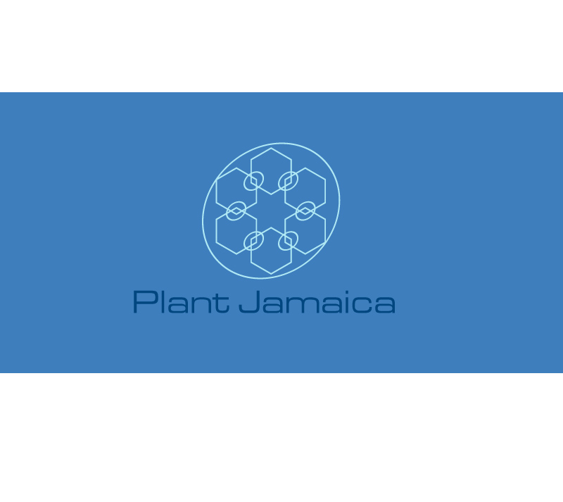 Logo Design by instudio for this project | Design #9516112