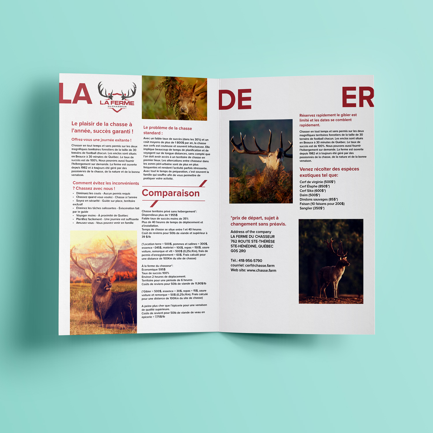 Diseño de Brochure por fueldesignyard para este proyecto | Diseño #9542360