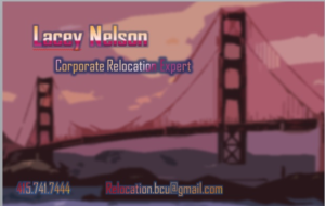 Business Card Design by hebaneam for Sf treasure chest | Design #9482446
