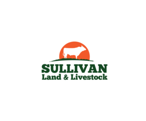 Logo Design by Sergio Coelho for this project | Design: #9562940