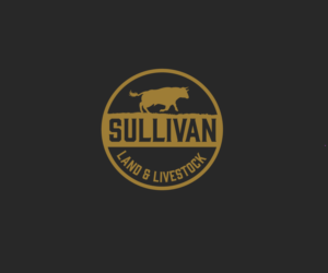 Logo Design by Sergio Coelho for this project | Design: #9564549
