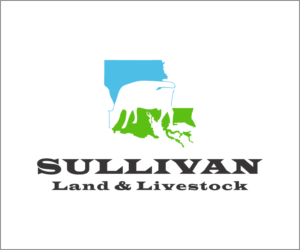 Logo Design by Shreyas Arts for this project | Design #9486377