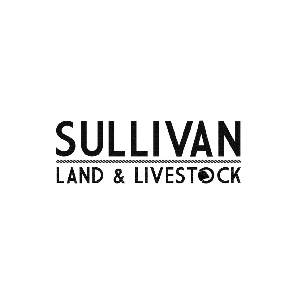 Masculine, Traditional, It Company Logo Design for Sullivan Land ...