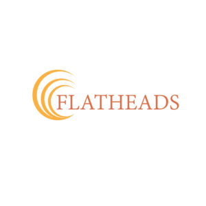 Design de Logo par Fotografescu pour Classhub Ltd. | Design : #9509146