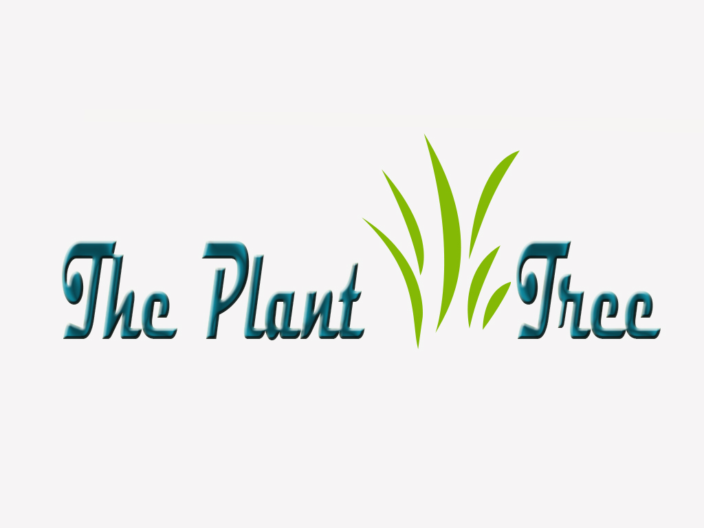 Logo Design by shafrazmohamed106 for this project | Design #9679739