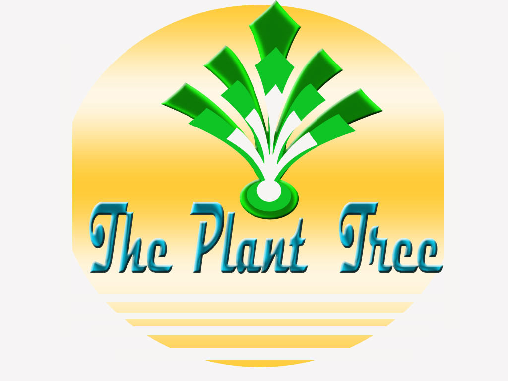 Design de Logo par shafrazmohamed106 pour ce projet | Design #9679980