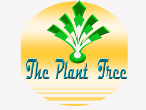 Design de Logo par shafrazmohamed106 pour ce projet | Design : #9679980