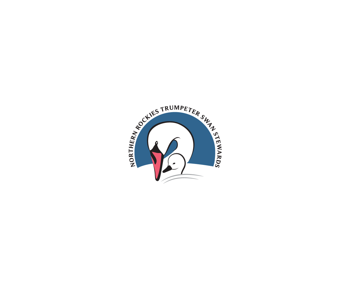 Logo Design by bijuak for -- | Design #9570358