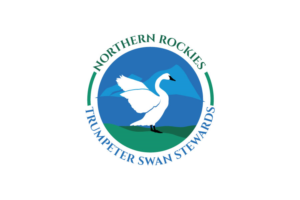Logo Design by ecorokerz for -- | Design #9487519