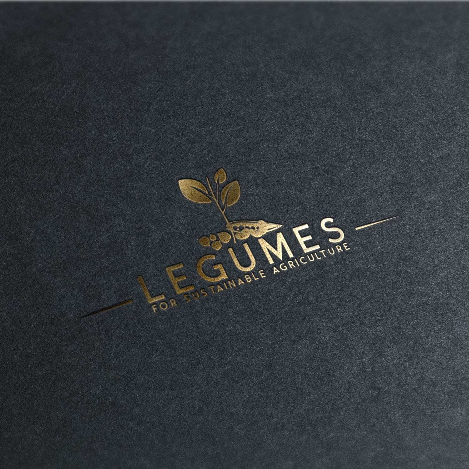 Design de Logo par ADM Florin pour ce projet | Design #9499821