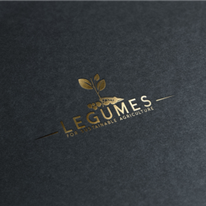 Design de Logo par ADM Florin pour ce projet | Design : #9499821
