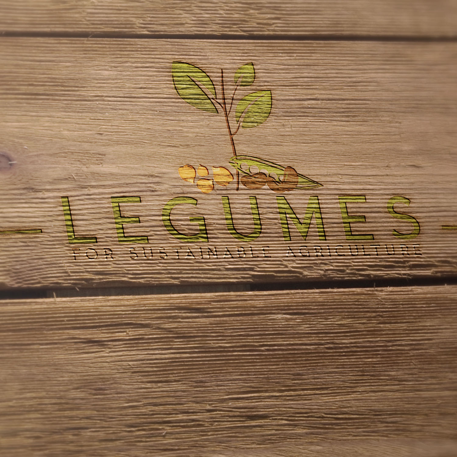 Logo Design by ADM Florin for this project | Design #9499838