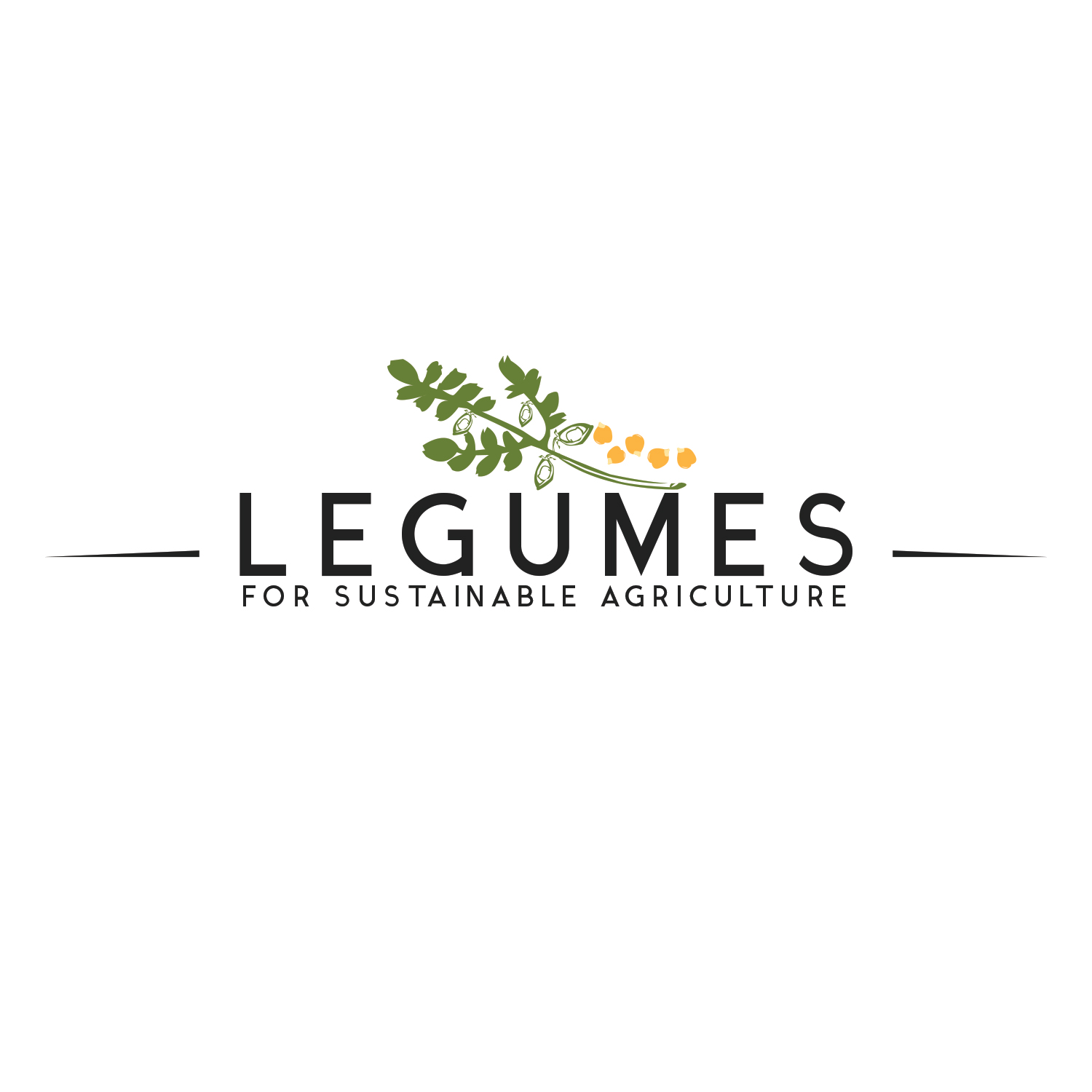 Design de Logo par ADM Florin pour ce projet | Design #9650082