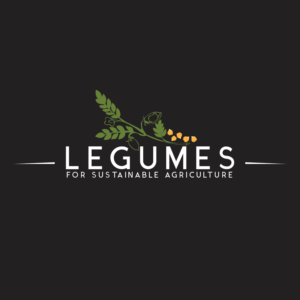 Logo Design by ADM Florin for this project | Design: #9674142