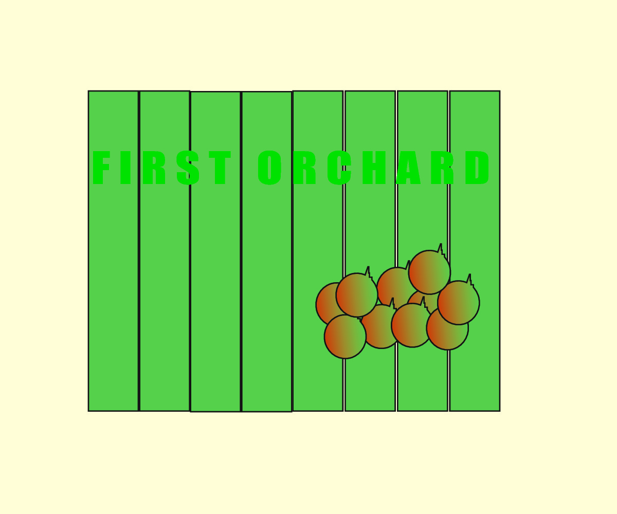 Logo Design by Bilalbilly for First Orchard Limited | Design #2078978