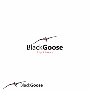 Logo Design by Nodesign212