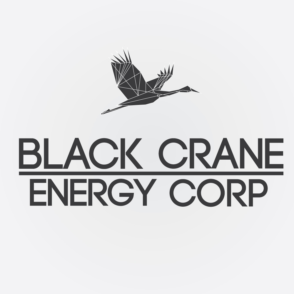 Logo-Design von danielmoffat0 für Black Crane Energy Corp. | Design #9494768