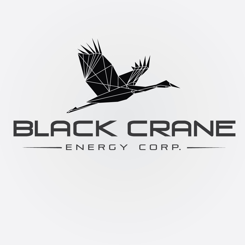 Logo-Design von danielmoffat0 für Black Crane Energy Corp. | Design #9542328