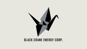 Logo Design by shemdd