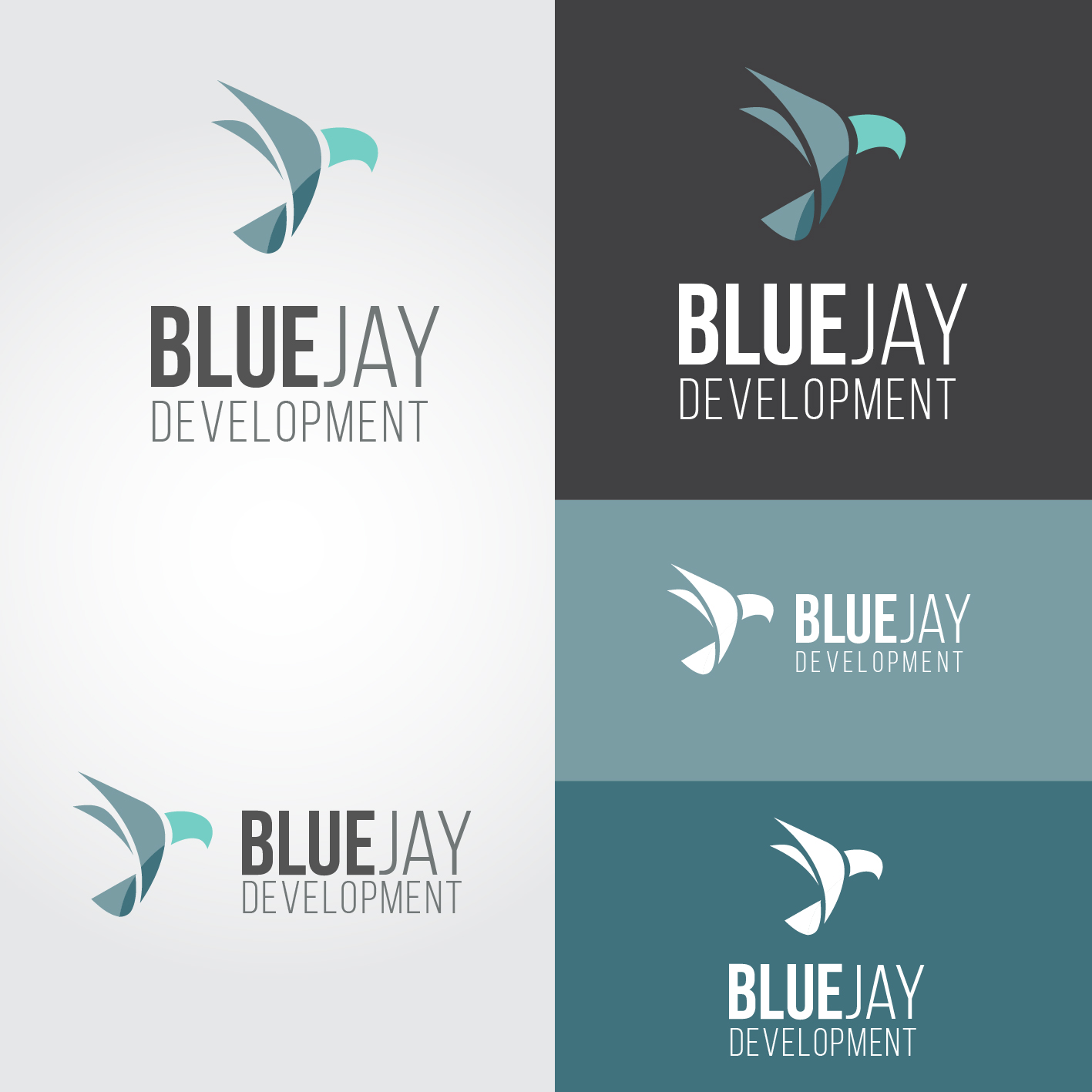 Logo-Design von Sharaan Momin für Blue Jay Development | Design #9542080
