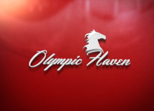 Logo Design by Cut N Cue Media Solutions for this project | Design: #9495102
