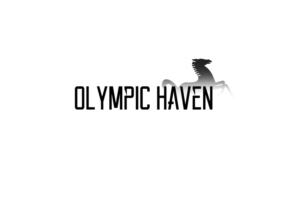 Logo Design by teddy_varbanova
