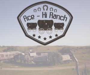 Logo Design by Zane_Graph_Design for Flex Electrical | Design: #9538207