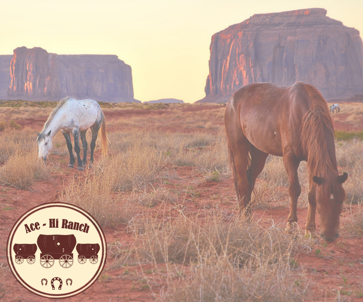 Logo Design by Zane_Graph_Design for Flex Electrical | Design #9582471