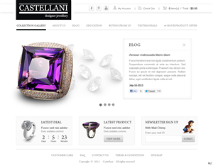 WordPress-Design von pb für Castellani p/l | Design: #2084052