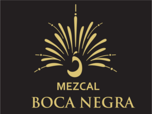 Logo Design by alice007