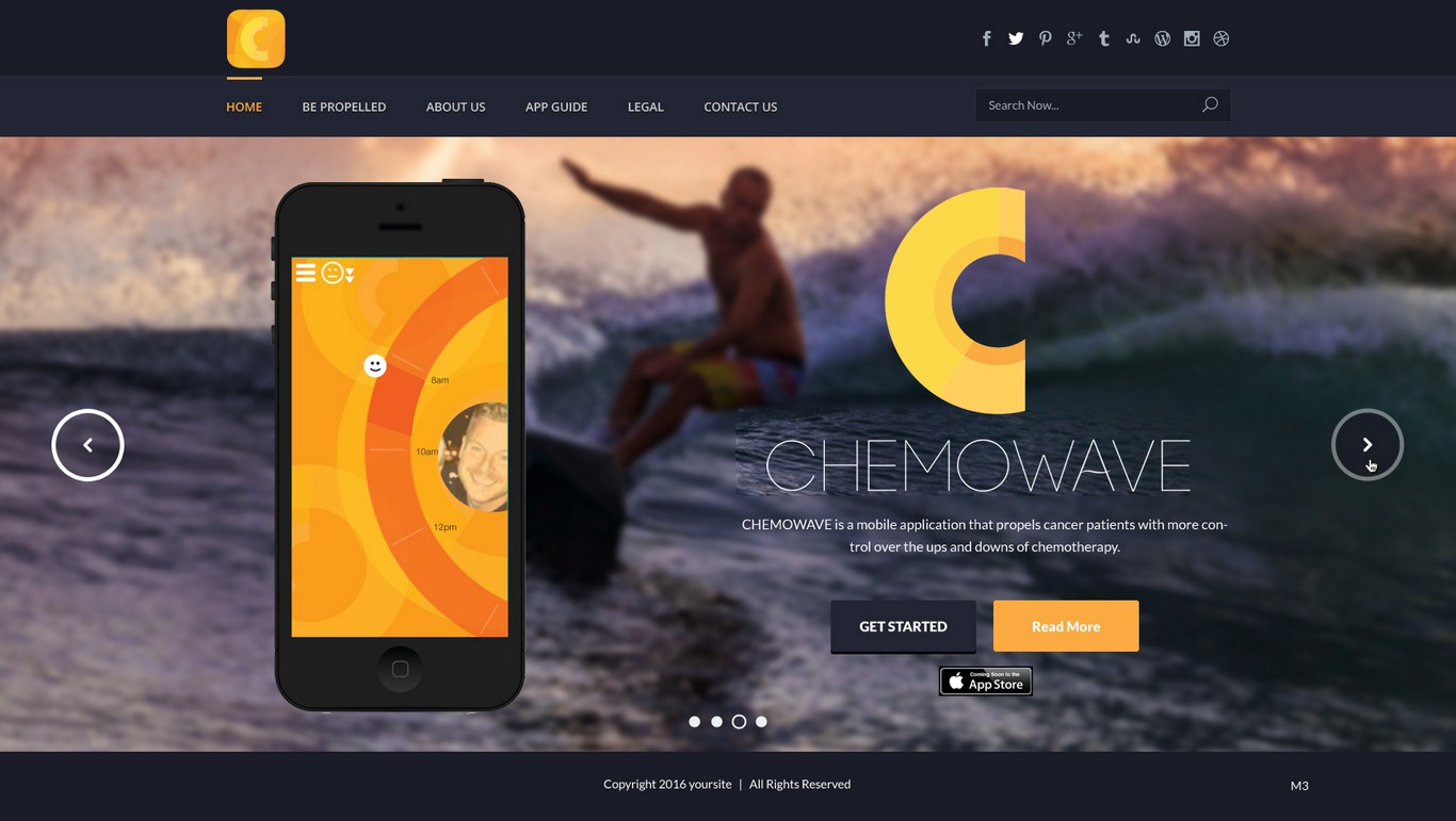WordPress-Design von pb für ChemoWave | Design #9501226