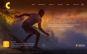 Wordpress Design by pb for ChemoWave | Design: #9505758