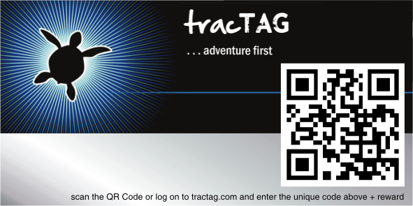 Diseño de Sticker por R16 para Intrepid TAG Solutions | Diseño #2086774